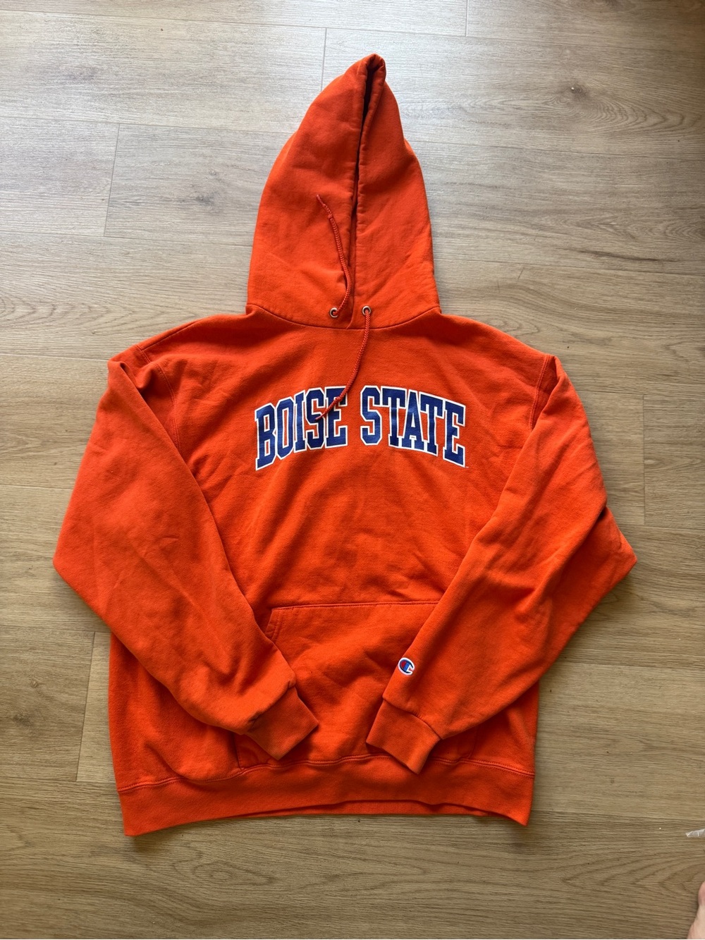 Champion Boise State Hoodie